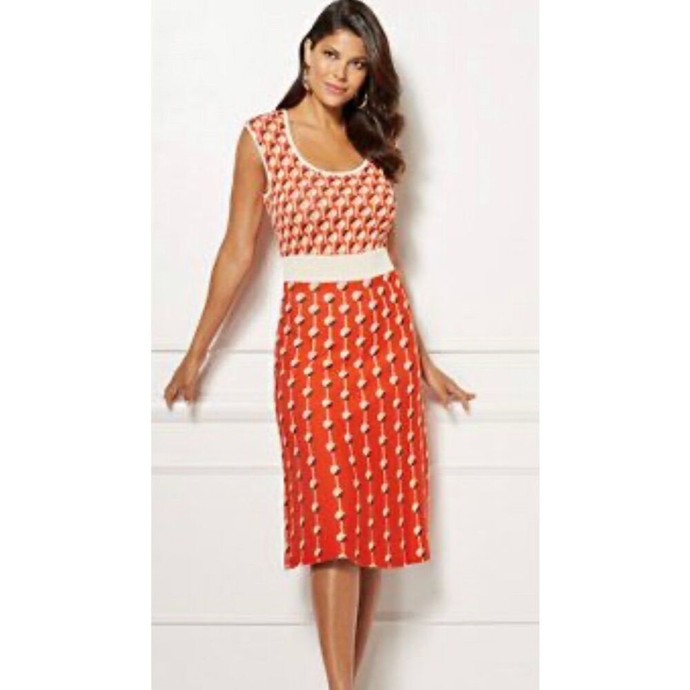Eva Mendes New York & Company Minimalist, Preppy Fit & Flare Sweater Dress Sz M